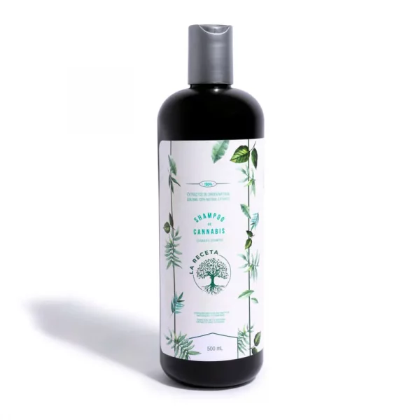 Sampoo argan cabello seco - la receta